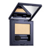 Fard à Paupières Estée Lauder Pure Color Envy - Kermatone