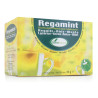 Soria Regamint Infusion Revitalisante - Kermatone