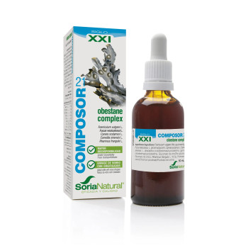 Soria Composor 21 Obestane Complex S XXi - Kermatone