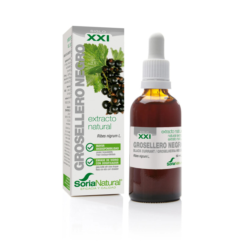 Soria Extracto Grosellero Noir 50ml - Éclat & Vitalité | Kermatone