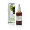 Soria Extracto Grosellero Noir 50ml - Éclat & Vitalité | Kermatone