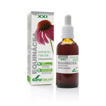 Extrait d'Échinacée Soria 50ml – Kermatone
