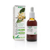 Soria Extracto Boldo S XXI - Sérum purifiant Kermatone