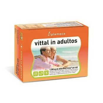 Revitalisez votre énergie avec Plameca Vittal In Adultos Kermatone