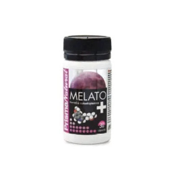 Prisma Nat Melato 30 Caps - Antioxydant Naturel | Kermatone