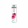 Vogel Dentaforce Échinacée 100g - Hygiène Bucale Naturelle | Kermatone