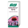 Vogel Echinaforce Spray 30ml - Renforcez votre immunité | Kermatone