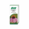 Echinaforce Vogel 50ml - Renforcez votre immunité naturellement | Kermatone