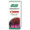Vogel Echinaforce Hot Drink 100ml - Renforcez votre Immunité | Kermatone