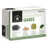 Digesnatur Gases 650 Mg - Bien-être digestif Kermatone