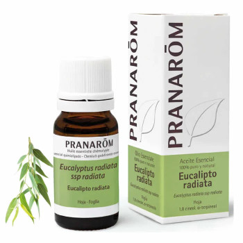 Huile Essentielle Eucalyptus Radiata 10ml - Kermatone
