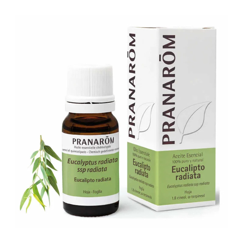 Huile Essentielle Eucalyptus Radiata 10ml - Kermatone