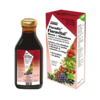 Salus Floradix Floravital 250ml - Énergie Naturelle | Kermatone