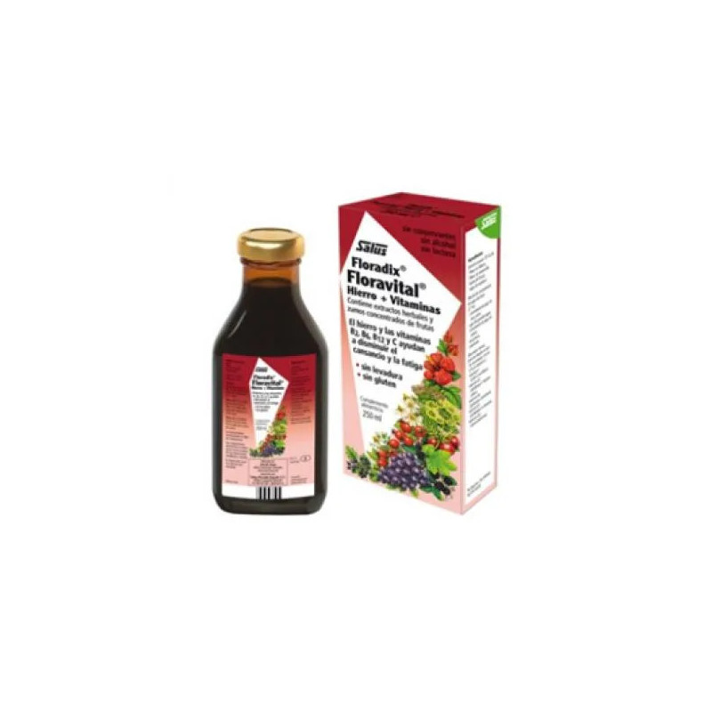 Salus Floradix Floravital 250ml - Énergie Naturelle | Kermatone