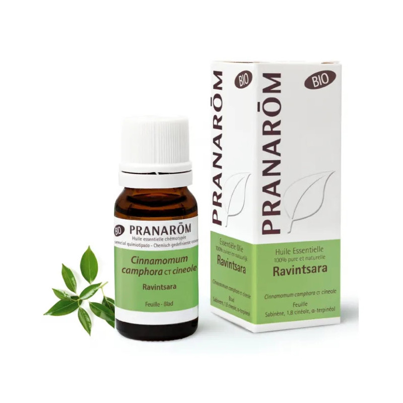 Huile Essentielle Ravintsara 10ml - Bien-être et Immunité | Kermatone