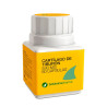Cartilage de Requin 530mg - Bien-être articulaire | Kermatone