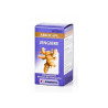 Arkopharma Gingembre 365mg - Complément Digestif | Kermatone