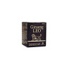 Ginseng Leo Angelini 60 Capsules - Énergie & Immunité Kermatone