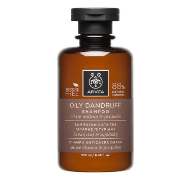 Shampoing Anti-Pelliculaire Apivita – Oily Dandruff 250ml Kermatone