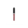 Bourjois Gloss Effet 3D Fabuleux - Lèvres Hydratées | Kermatone