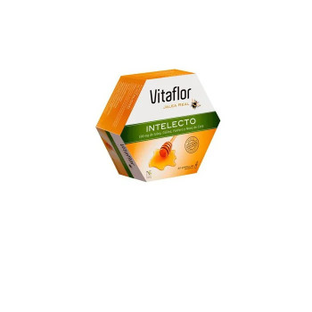 Boostez votre énergie avec Vitaflor Jalea Real Intelecto - Kermatone