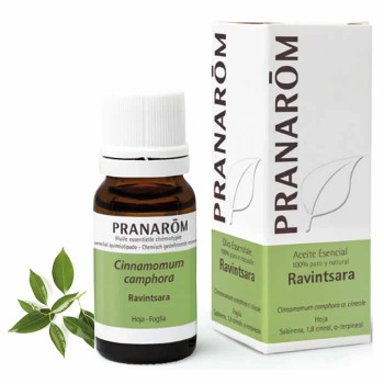 Huile Essentielle Ravintsara 10ml - Bienfait Naturel Kermatone