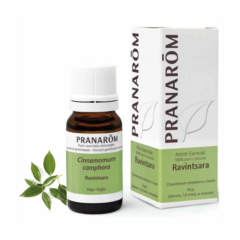 Huile Essentielle Ravintsara 10ml - Bienfait Naturel Kermatone