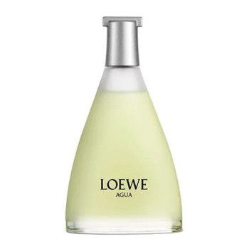 Loewe Agua Loewe Eau De Toilette 100ml | Kermatone