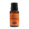 Huile Essentielle Eucalyptus 14ml - Bien-être | Kermatone