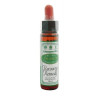 Santiveri Bach Recovery Remedy 10ml - Apaisement Kermatone