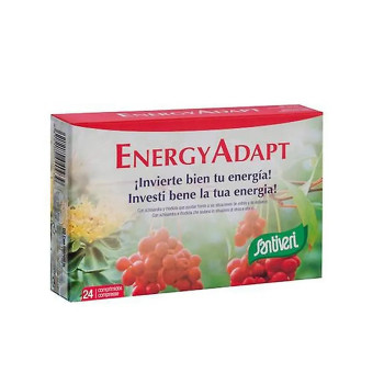 Santiveri EnergyAdapt : Complément Énergisant - Kermatone