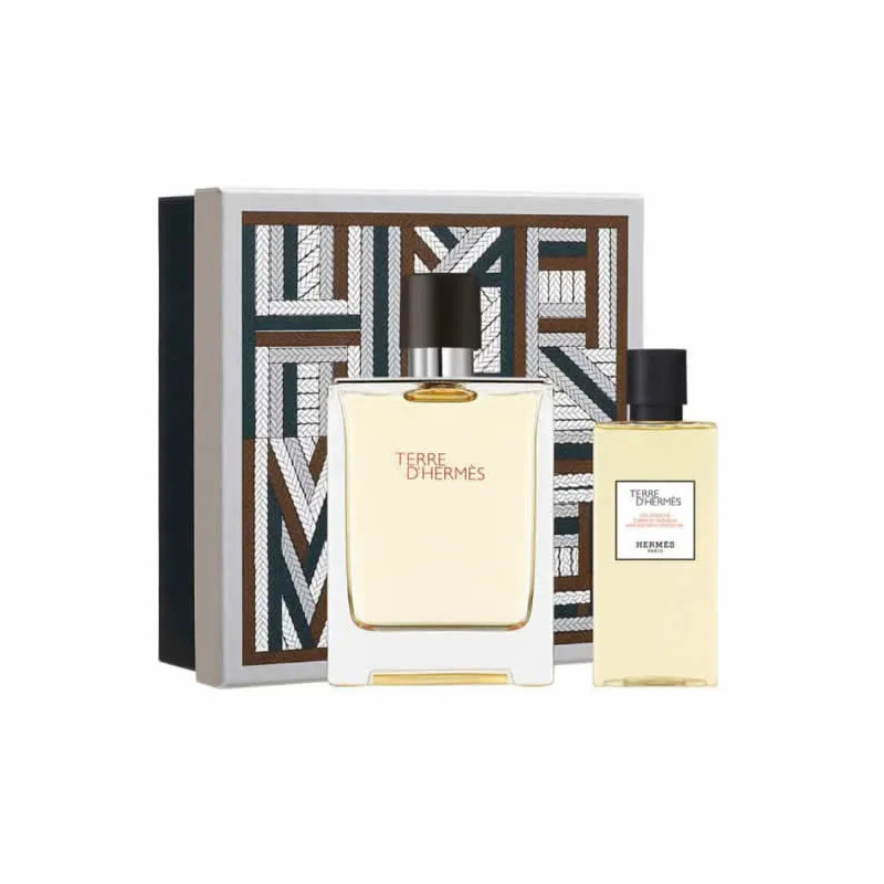 Hermès Terre D'Hermès Eau De Toilette 100ml - Kermatone
