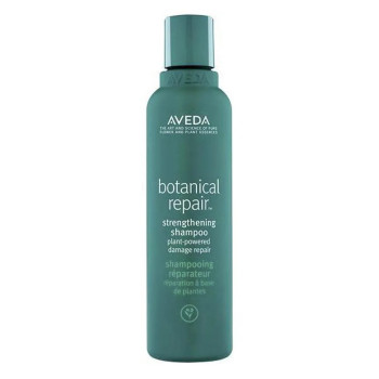 Aveda Botanical Repair Shampoo - Cheveux Fortifiés Kermatone