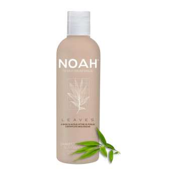 Shampoing Nourrissant au Bambou - Noah Leaves | Kermatone