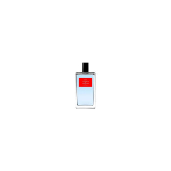 Victorio and Lucchino Col V y L Agua Homme N11 - 150ml