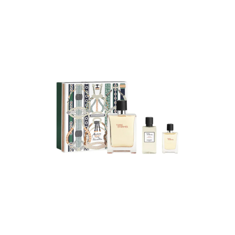 Hermès Terre Eau de Toilette Spray 100ml - Parfum de Luxe