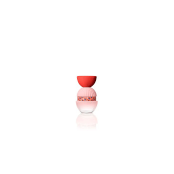 El Ganso Fun y Chic Edp 100 Spray
