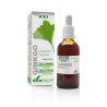 Soria Extracto Ginkgo Biloba - Revitalisez votre peau | Kermatone