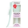 Brosse Démêlante Tangle Teezer Fine & Fragile - Original Ice Blue