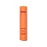 Amika Normcore Shampoing Antioxydant 275ml