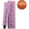 Igora Royal Fashion Lights L-77 Cobrizo Intenso 60ml