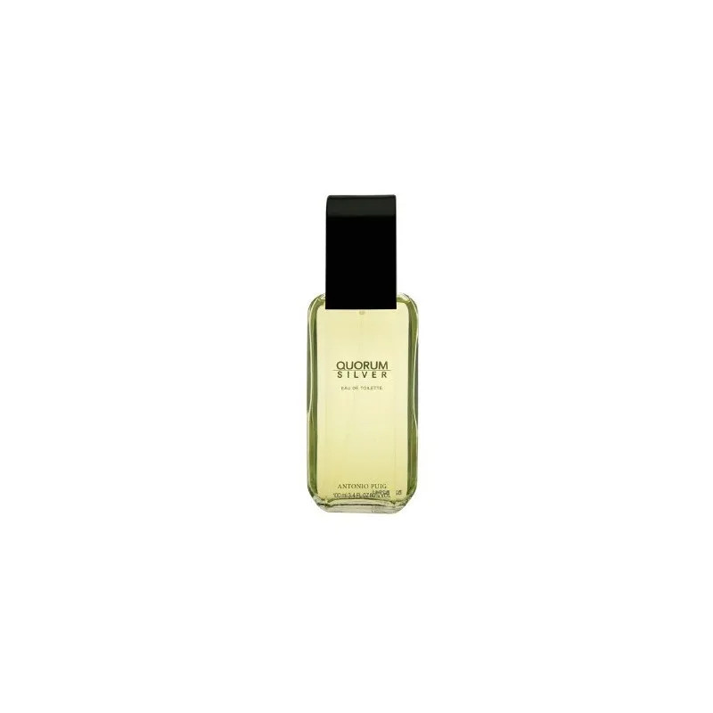 Quorum Eau de Toilette Silver Vaporisateur - 100 ml