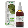 Soria Artichaut Extrait S.XXI - Soin Purifiant Kermatone