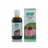 Vogel Echinaforce 100ml - Renforcez votre immunité avec Kermatone