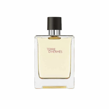 Hermès Terre D'Hermès Eau De Toilette 100ml - Kermatone