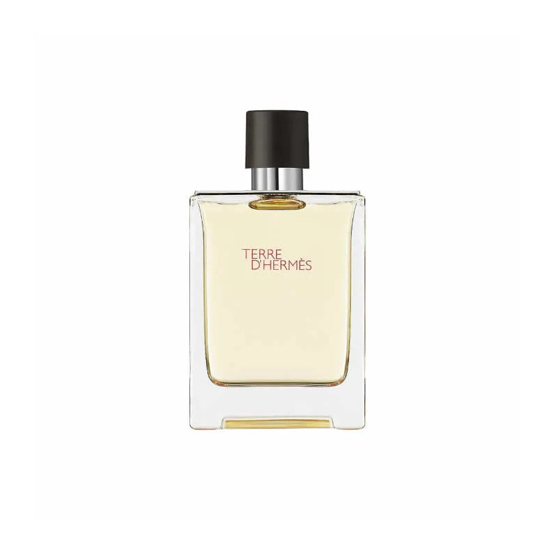 Hermès Terre D'Hermès Eau De Toilette 100ml - Kermatone