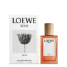 Solo Loewe Ella EDP 30ml - Parfum Floral & Fruité | Kermatone
