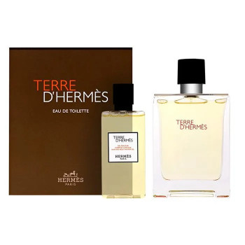 Hermès Terre D'Hermès Eau De Toilette 100ml - Kermatone