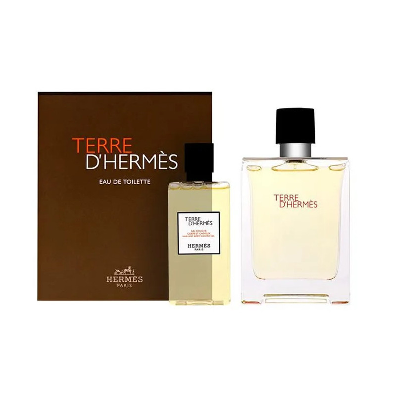Hermès Terre D'Hermès Eau De Toilette 100ml - Kermatone
