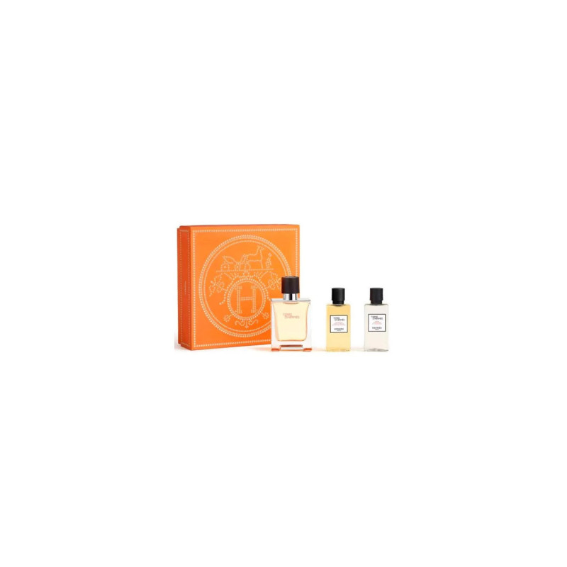 Hermès Terre D'Hermès e T 50 Spray Gel | Kermatone
